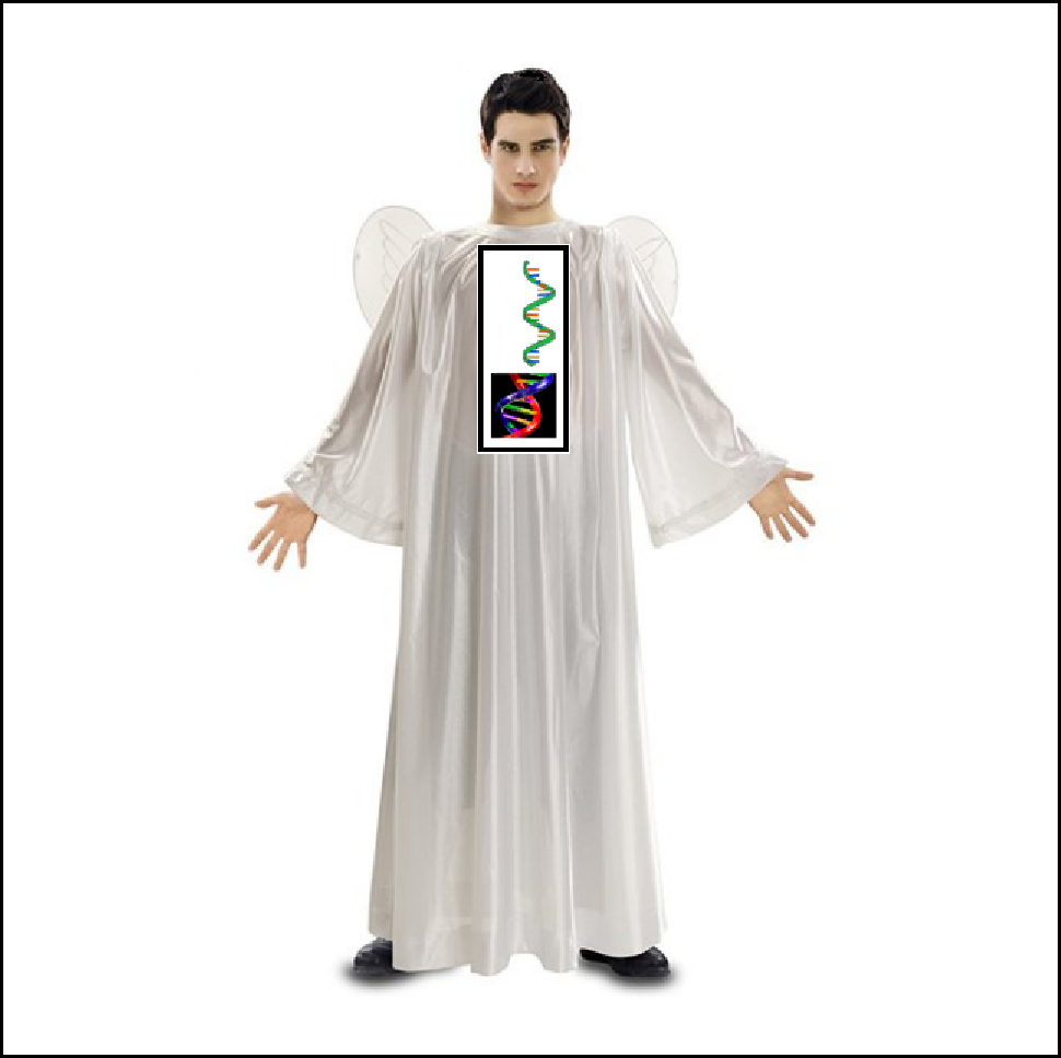 Imperio mundial de la profecia